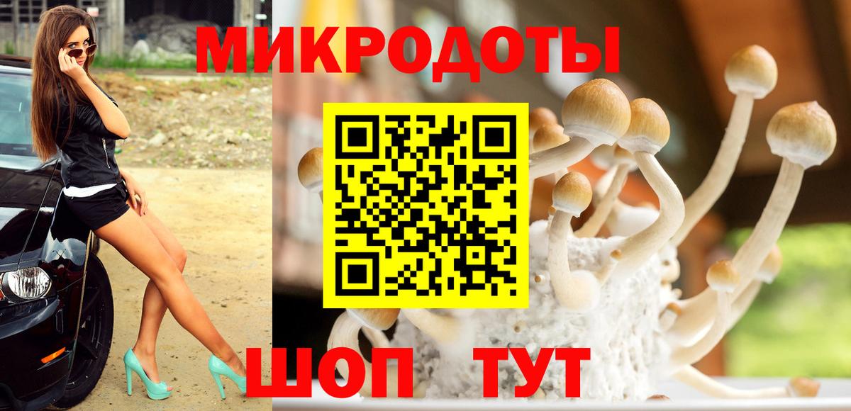 Ржев  Псилоцибиновые грибы мицелий  Вход с VPN  хочу   Псилоцибиновые грибы мицелий 