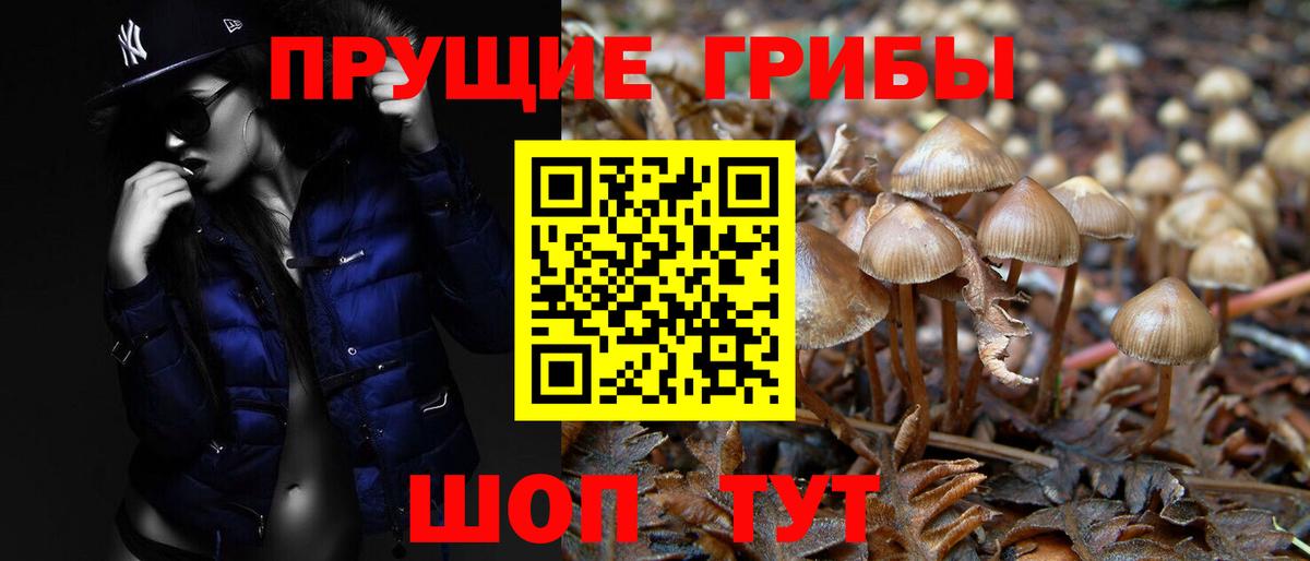 Галлюциногенные грибы Magic Shrooms Ржев